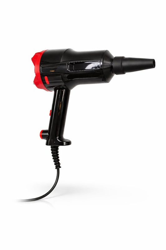 Car Dryer